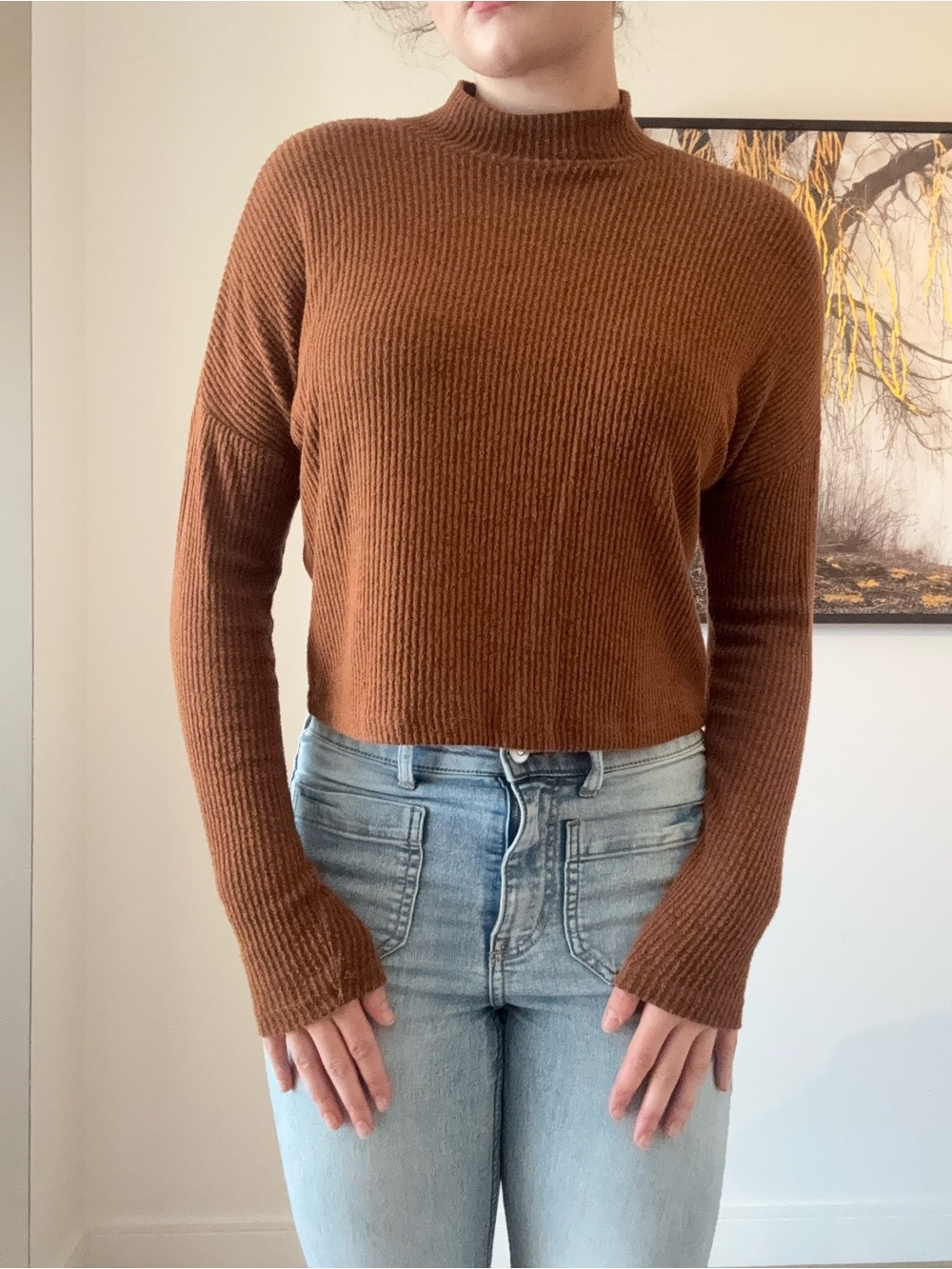 Garage Ribbed Mock Neck Cropped Sweater - Brown